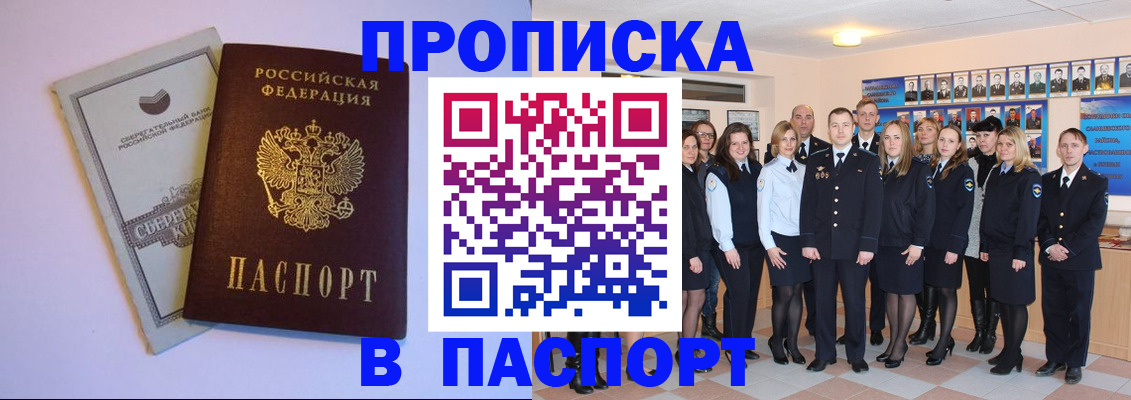 прописка поиск в Купино